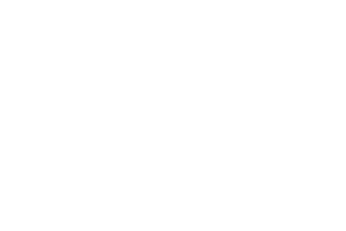 ivhs-logo